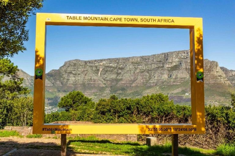 Urban Safari Cape Town